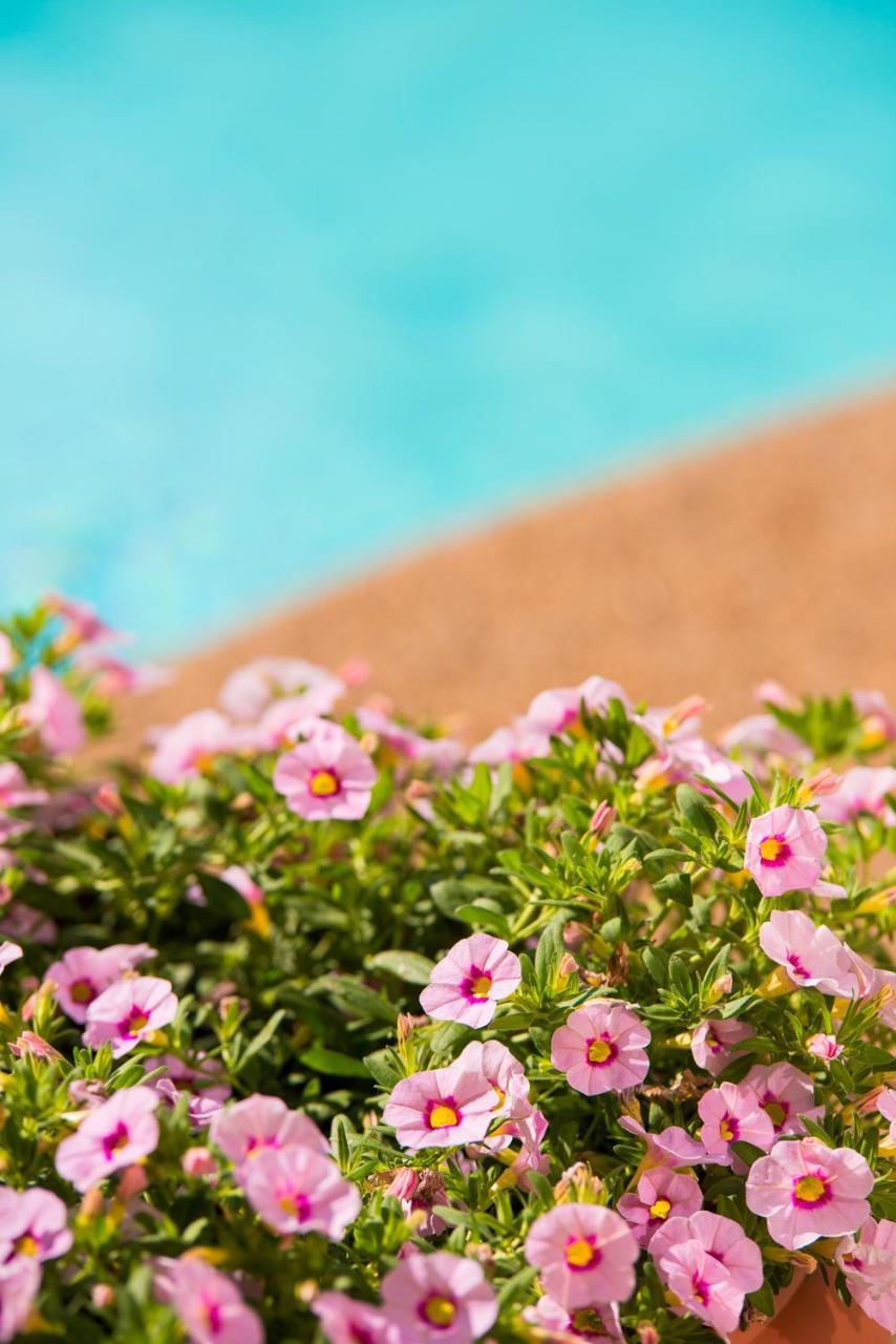 Neikos Mediterraneo Luxury Suites Chaniotis Dış mekan fotoğraf